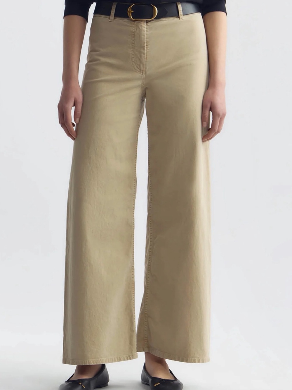 Nili Lotan Megan Cotton Wide Leg Pants Size 10 Beige Khaki